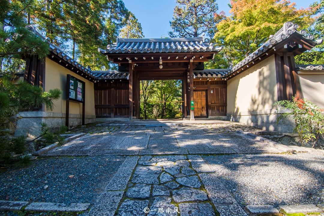 天下第一社区网WWW日本探索天下第一社区网，日本文化与交流的桥梁-第3张图片
