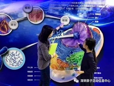 母亲和儿子dna一样吗小艺输入法母亲与儿子DNA的奥秘
