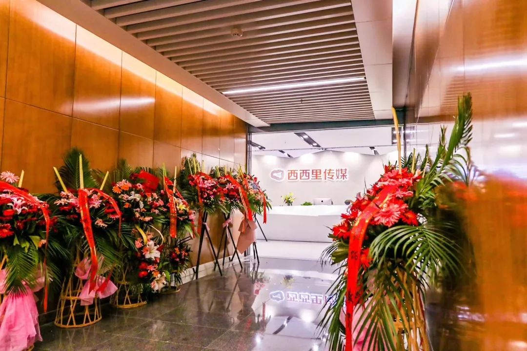 麻豆文化传媒WWW，探索现代传媒与文化交融的新篇章-第2张图片