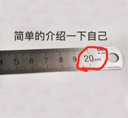 网络污词69的含义解析