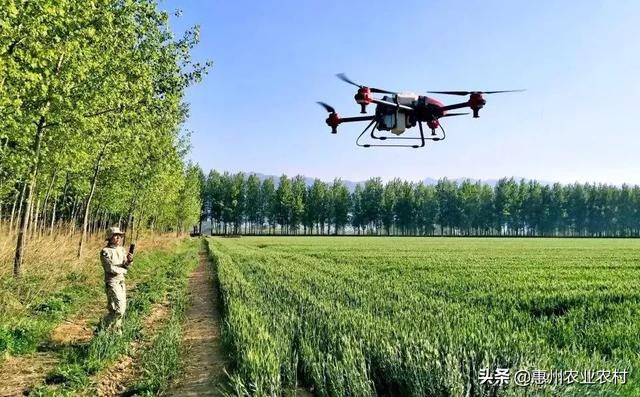 导航到城市农夫农夫导航新地址，开启农业新纪元-第2张图片