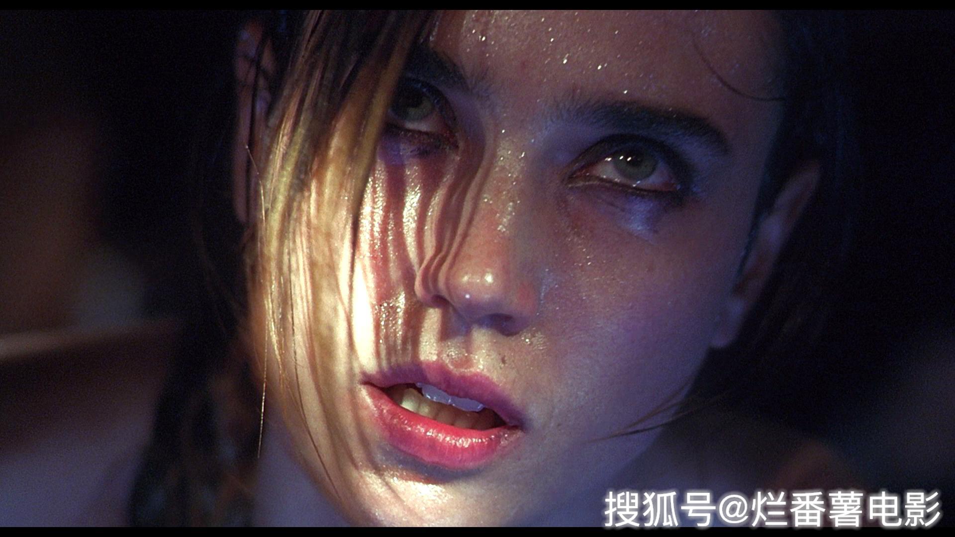 午夜特快特污兔午夜影视院的神秘世界-第3张图片