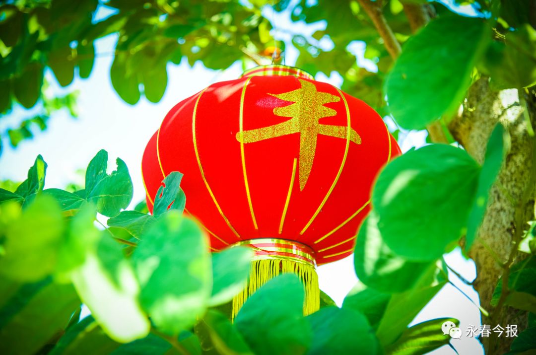 2019最新福利合集2019最新福利合集，全民共享的幸福时刻-第3张图片