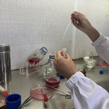 折磨实验室实验室的折磨之旅-第3张图片