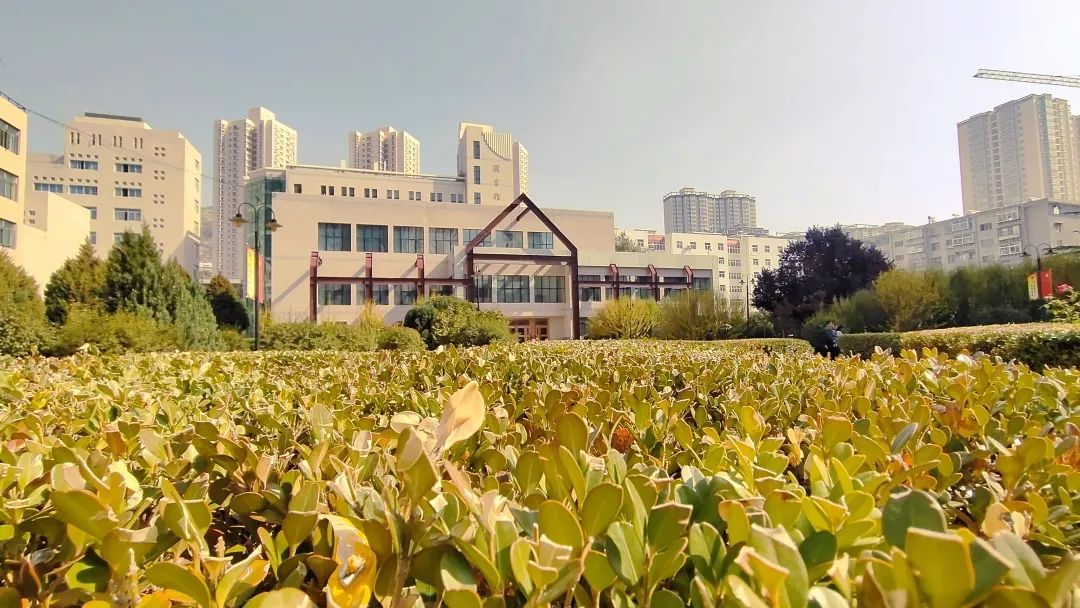 兰州城市学院聊天记录兰州城市学院，师生间的聊天记录与校园生活点滴-第1张图片