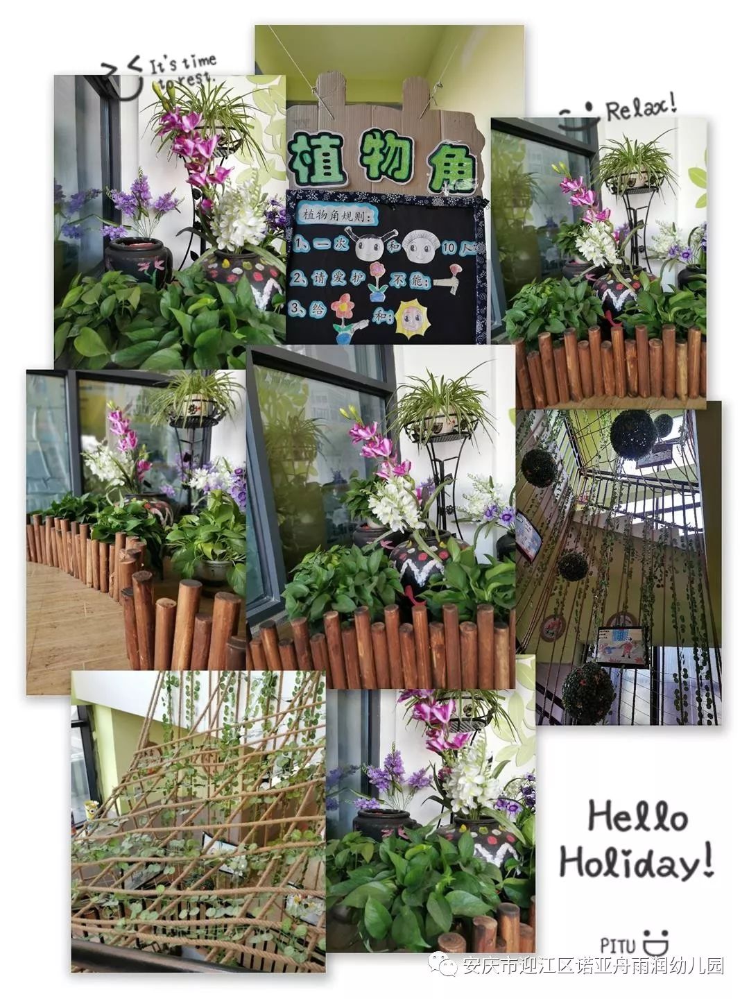 亚洲一卡二新区乱码绿踪林探索亚洲一卡二新区，绿踪林中的多元文化与乱码现象-第2张图片