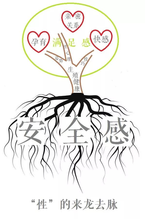 探索视频世界中的动物性行为与性教育的重要性-第1张图片