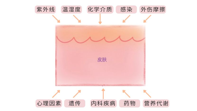贝蒂寄生虫和缩头鱼虱的区别贝蒂寄生虫，一种不可忽视的疾病-第2张图片