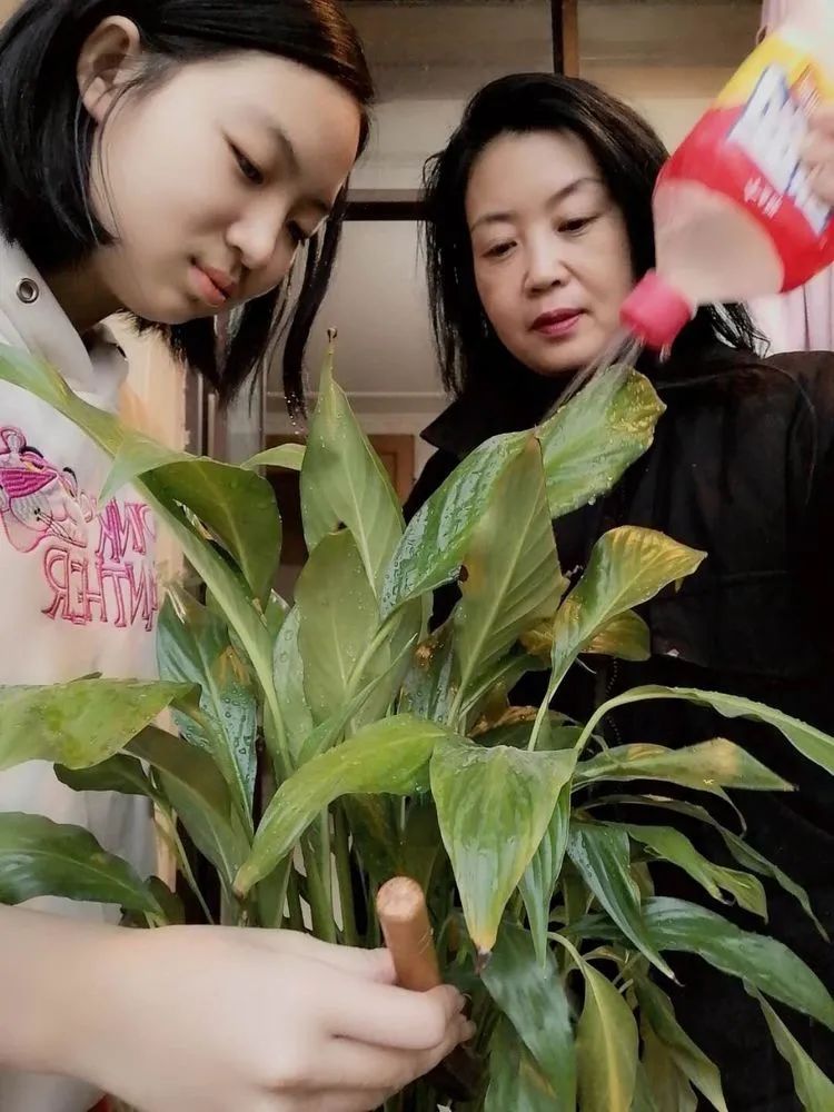 园丁，耕耘生命的绿色使者