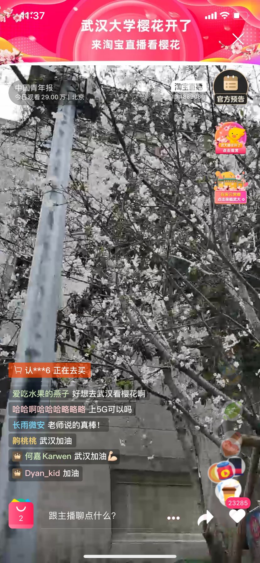 樱花直播平台下载安装樱花直播平台下载安装全攻略
