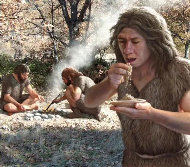 原始之灵商人在哪原始之灵，探寻生命之源的奥秘