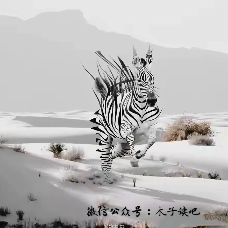 西游圣徒，一段传奇的修行之旅