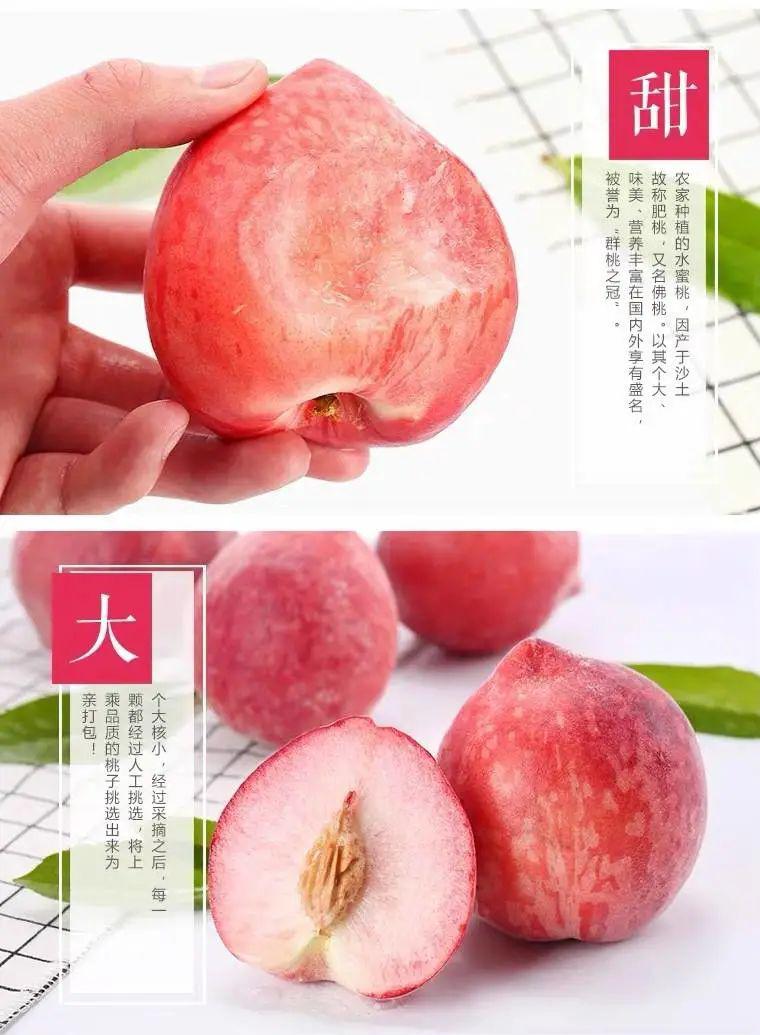 免费无码一区二区三区蜜桃大免费无码一区二区三区蜜桃大资源分享-第2张图片