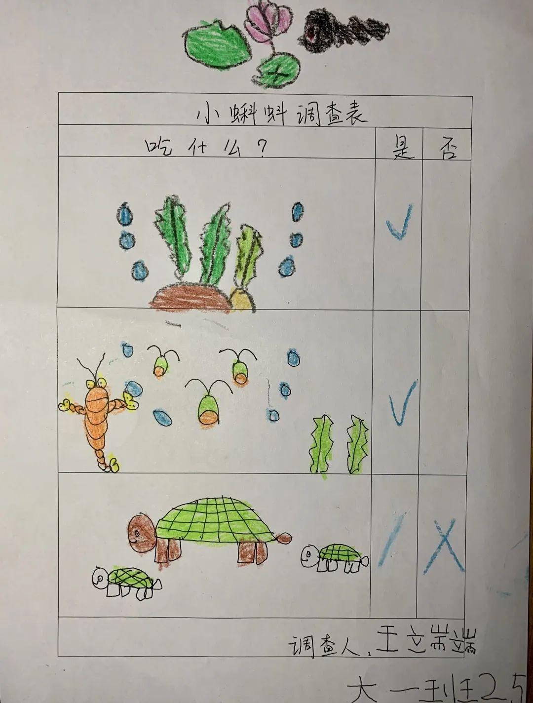 小蝌蚪APP，探索与警示-第1张图片