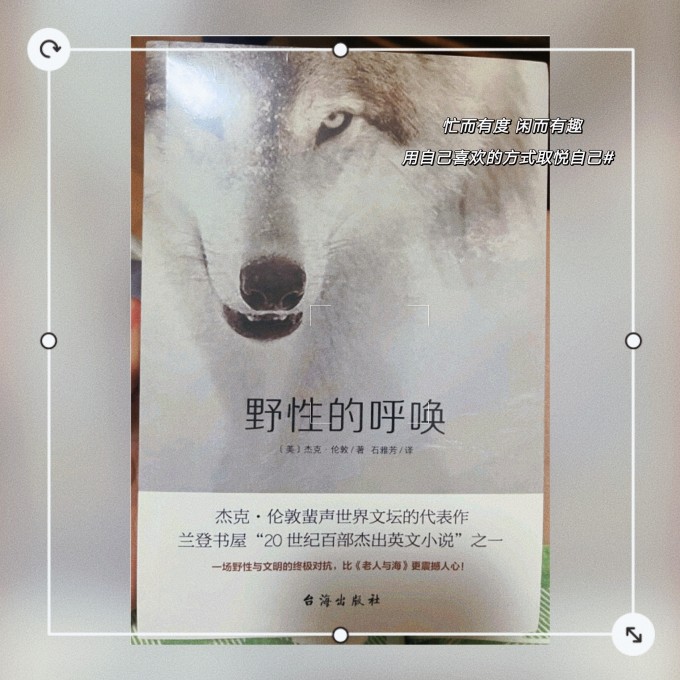 猎人荒野的呼唤猎人荒野的呼唤，探索自然与生命的交响曲-第2张图片