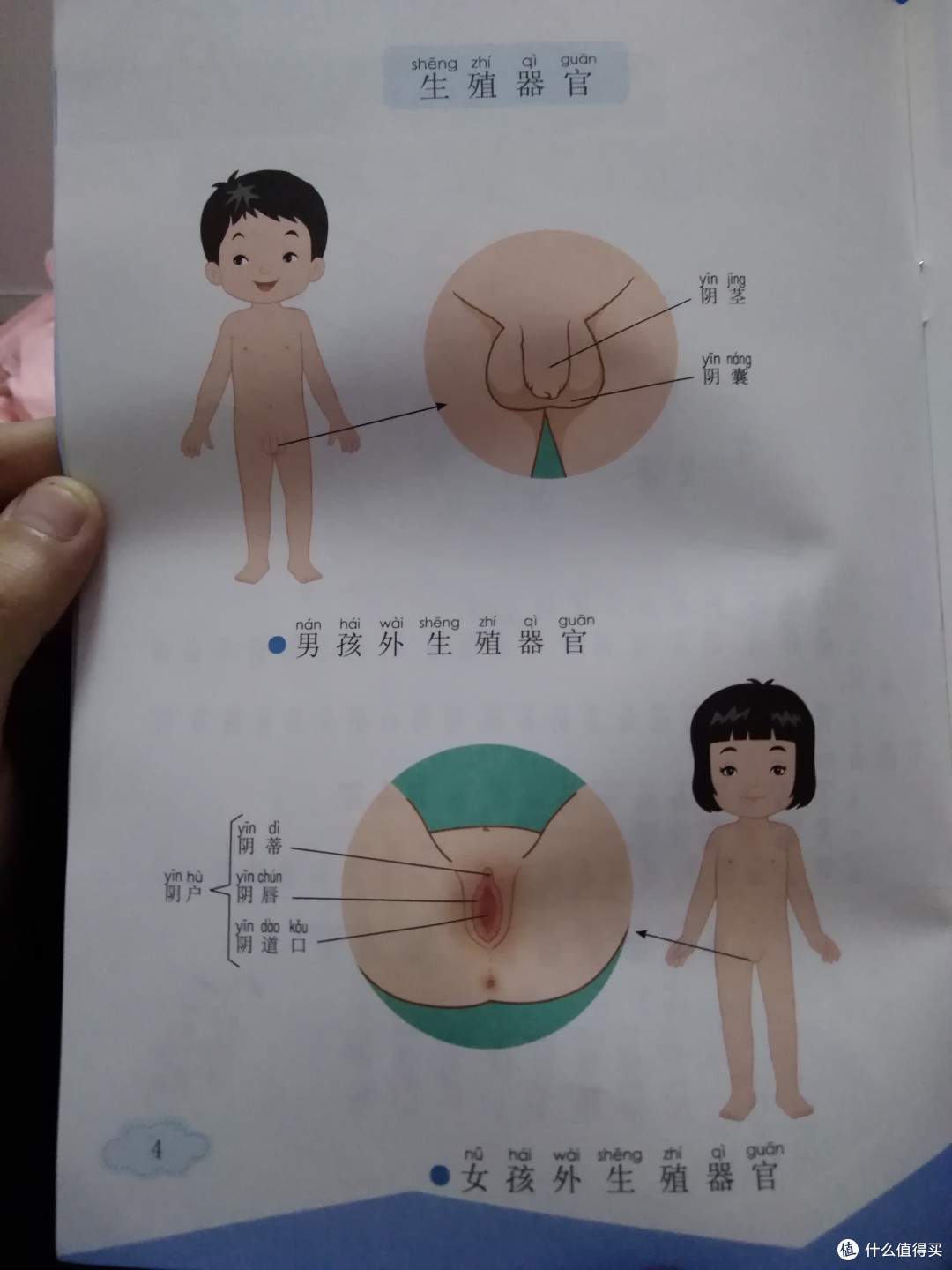 快拔出来，我是你老师——关于性教育的启示与责任-第2张图片