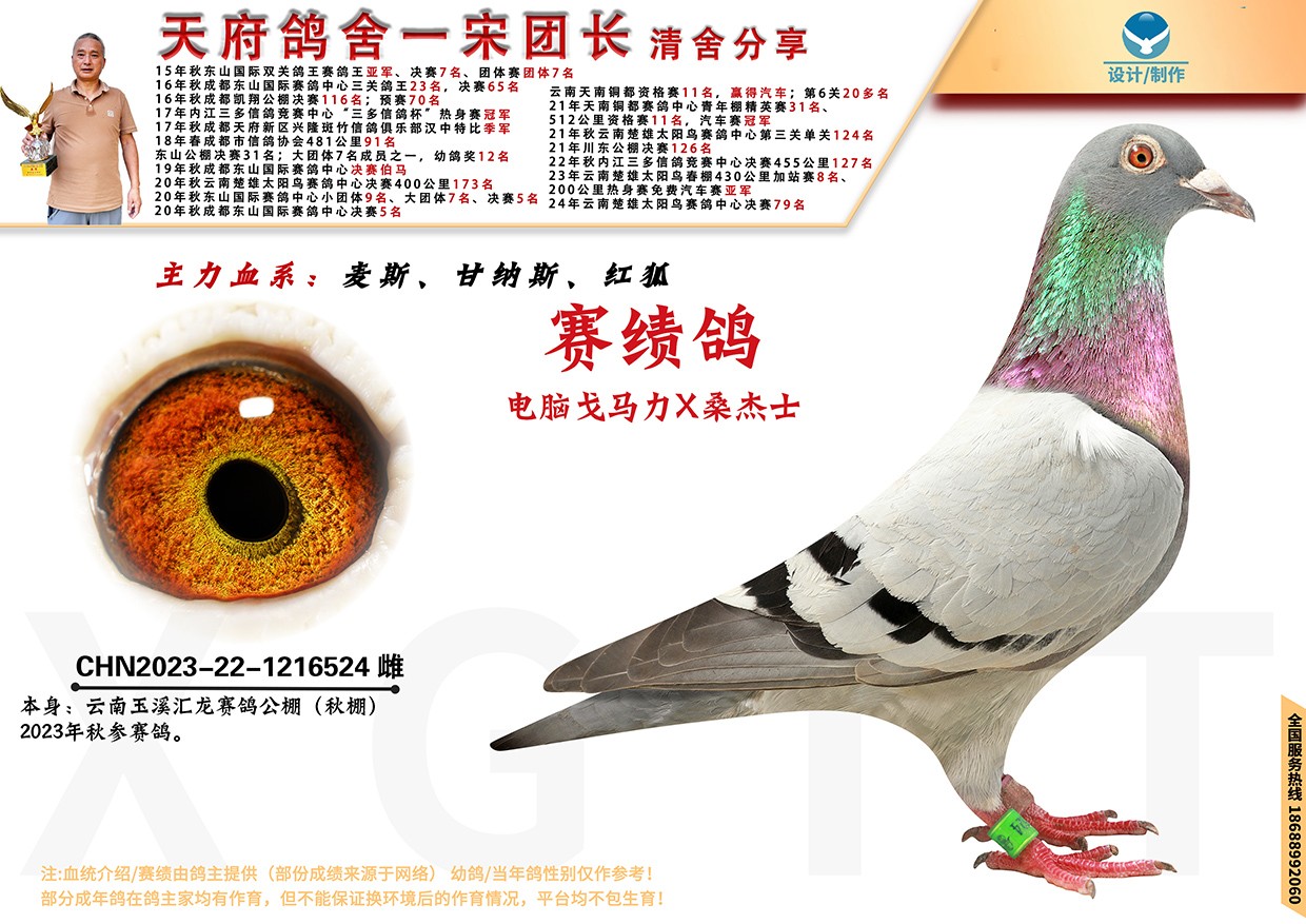 天南铜都赛鸽中心秋棚青年棚——飞翔的青春与荣耀的舞台
