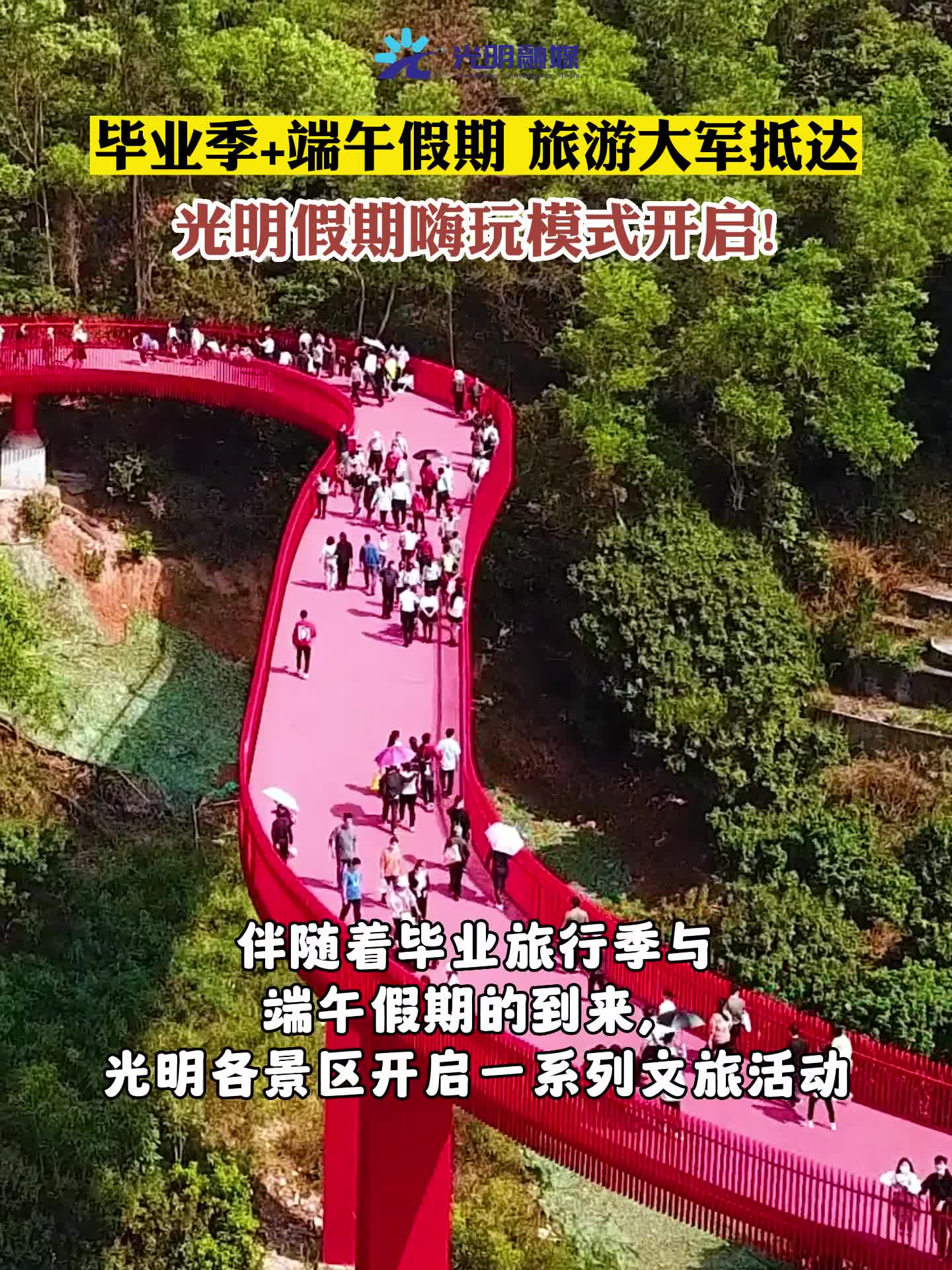 荔枝视频在线观看免费，畅享高清影视，尽享免费福利