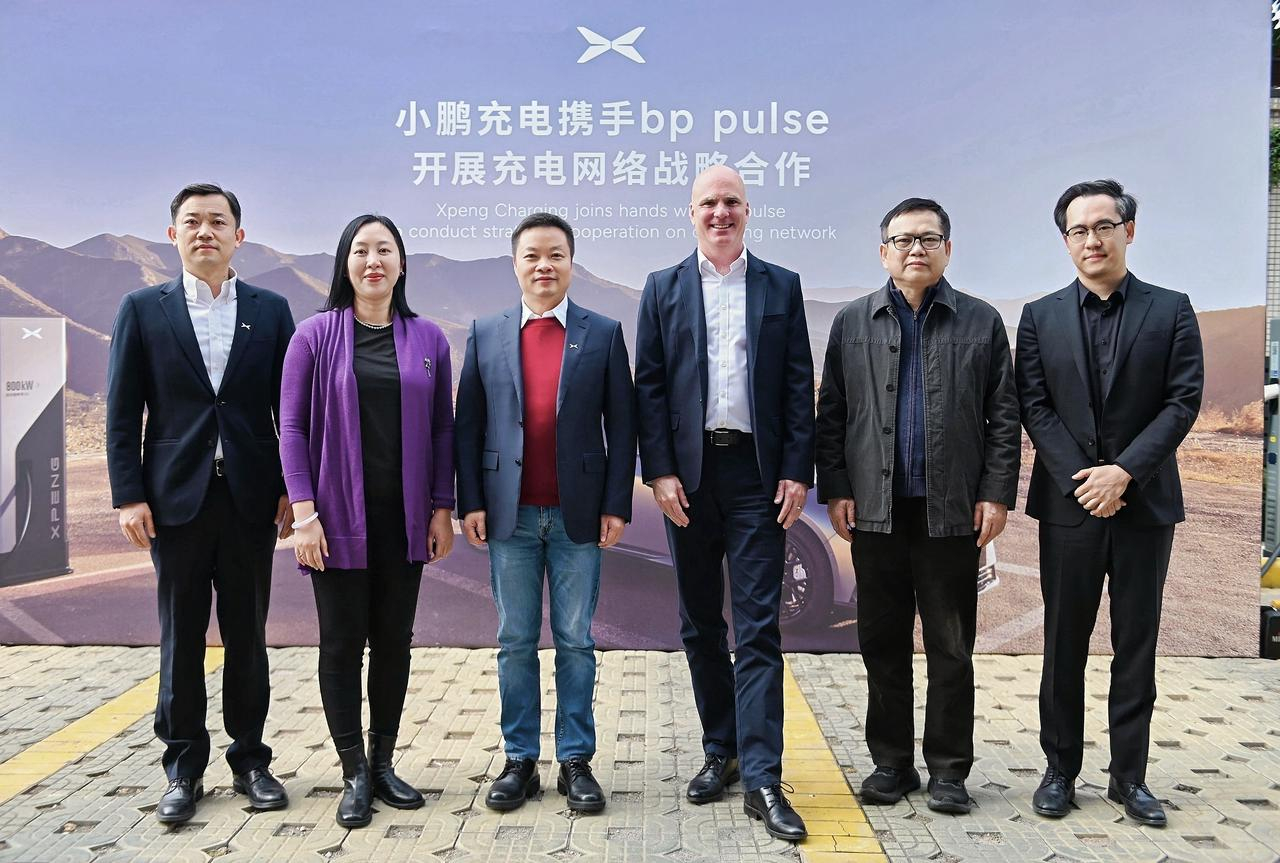BY3151域名查询，解析与探索网络身份的奥秘-第3张图片