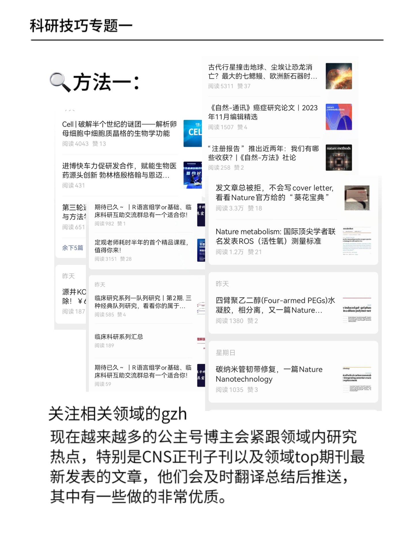 荔枝app在线汅api在免费下载荔枝APP，在线资源获取的便捷途径——免费下载与汅api的探索