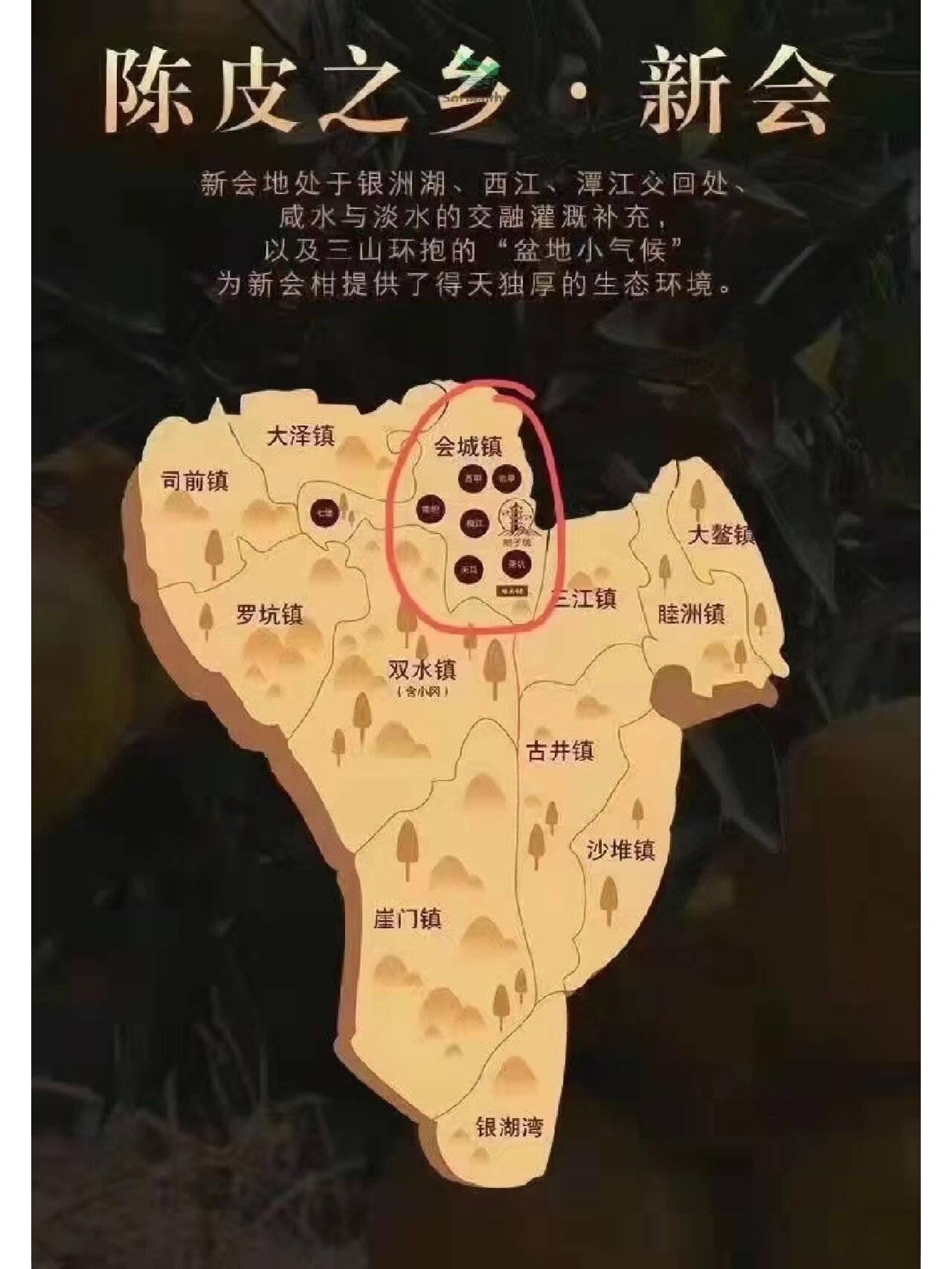 亚洲一线产区二线产区区别在哪儿亚洲一线产区与二线产区，差异与特点-第1张图片