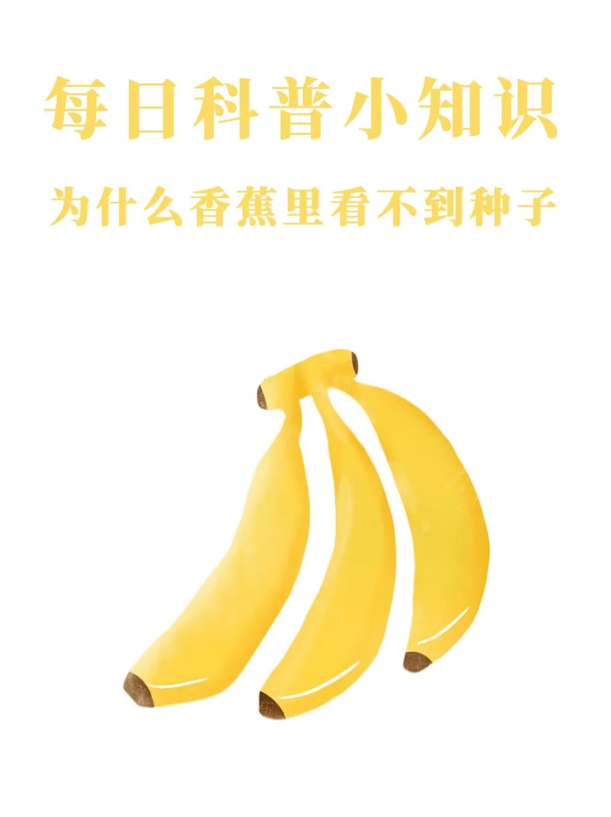 伊久线香蕉观新在线伊久线香蕉与新在线的奇妙之旅