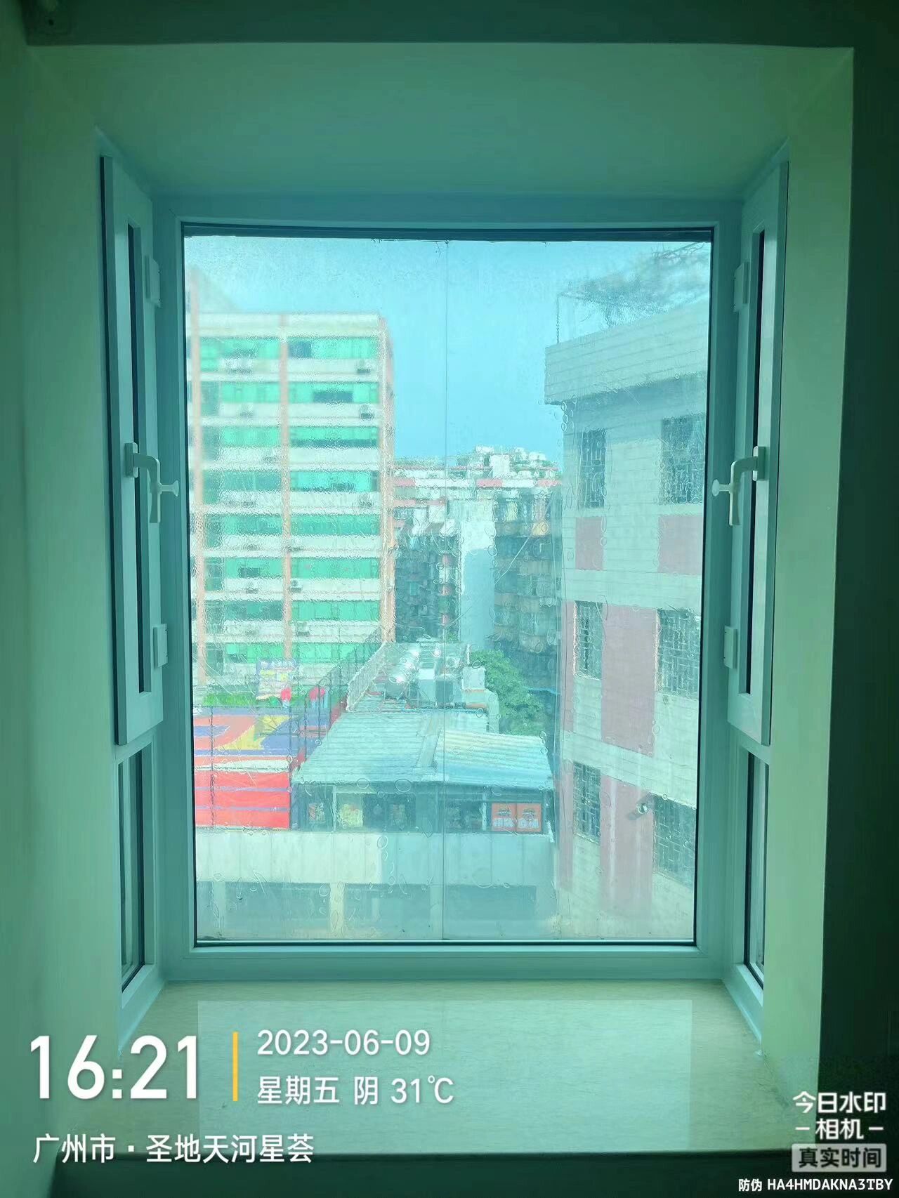 被压在玻璃窗边C被压在玻璃窗边的C-第2张图片
