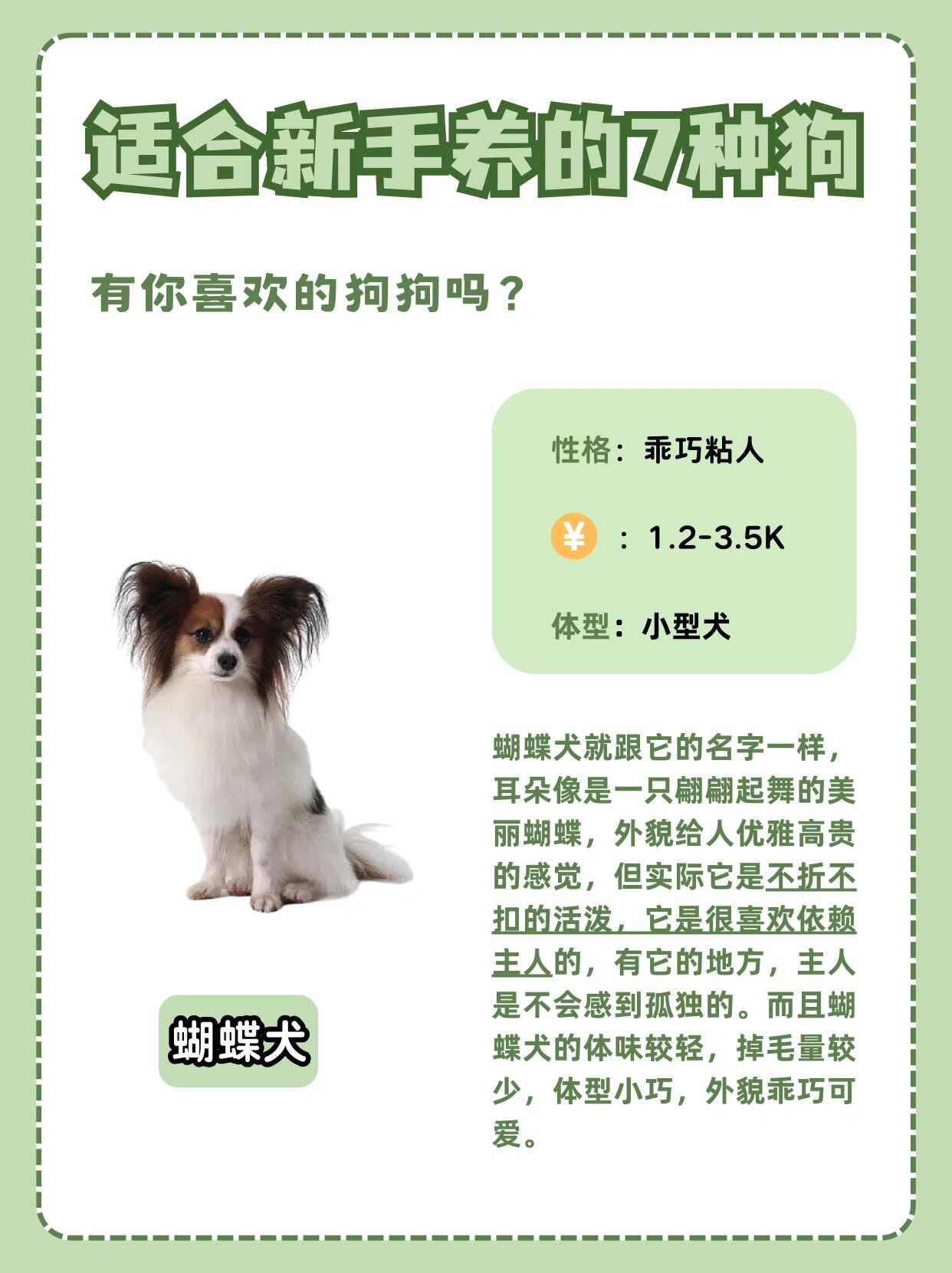 狗的速度，快如闪电，身形又大又烫的奇妙之处