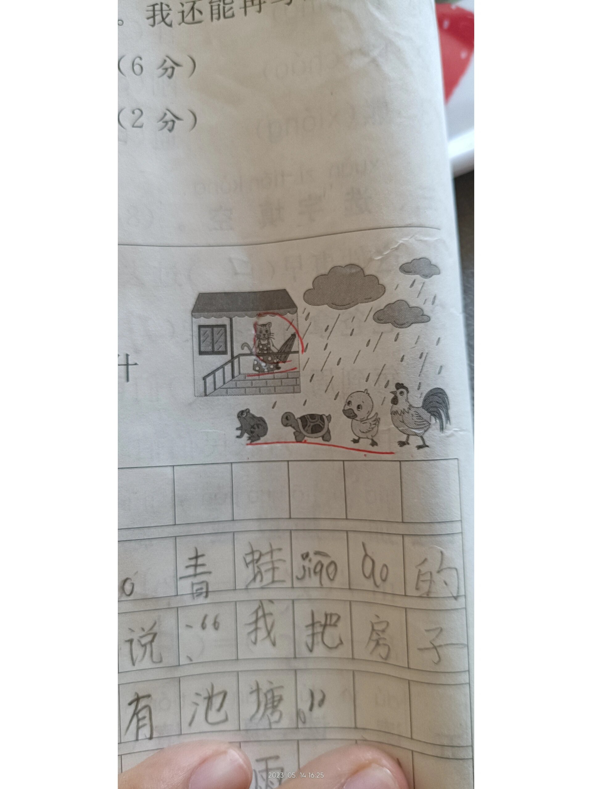 雨后小故事2雨后小故事之续篇