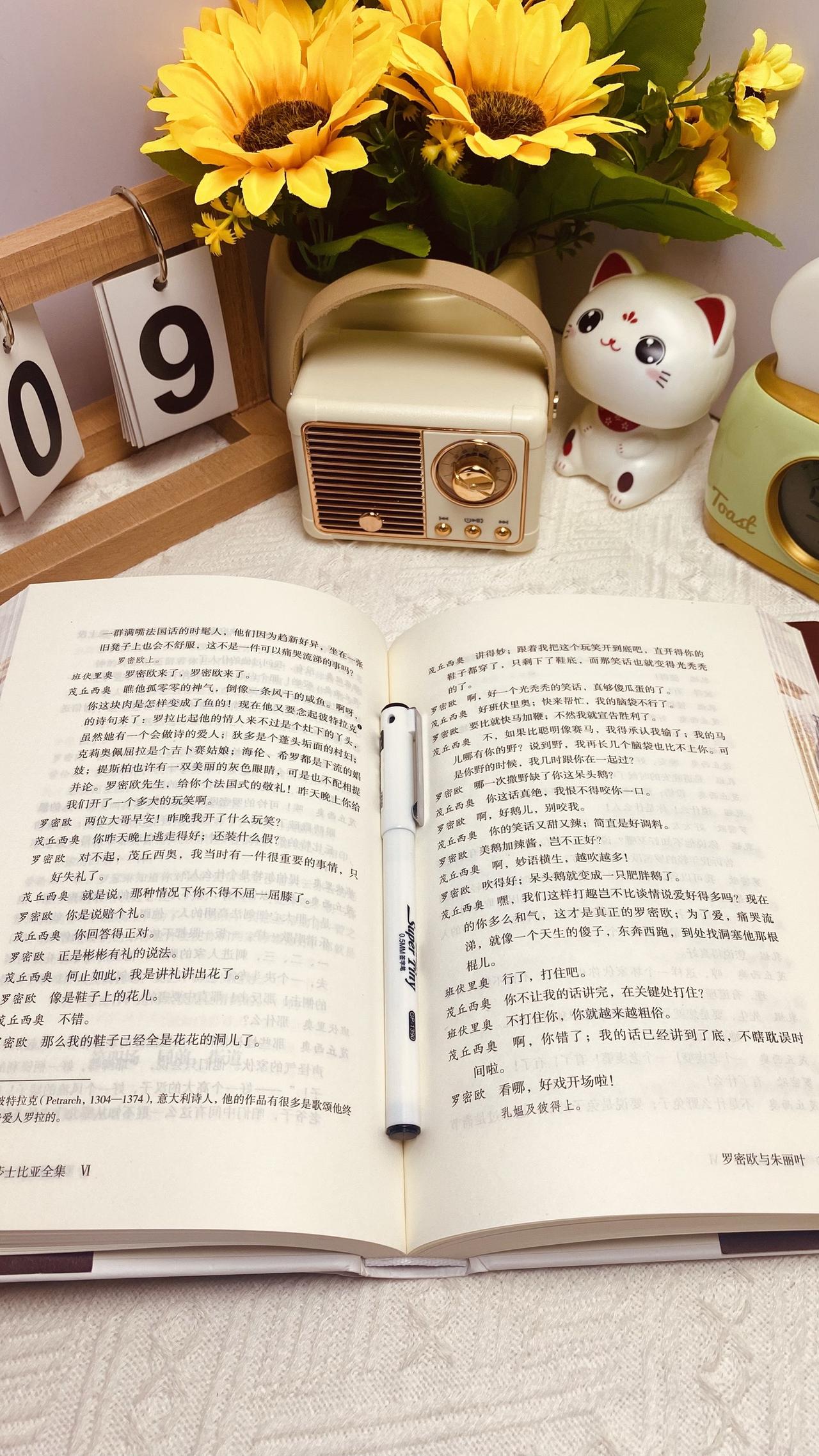 探索文学的魅力，推荐几本引人入胜的黄书-第2张图片