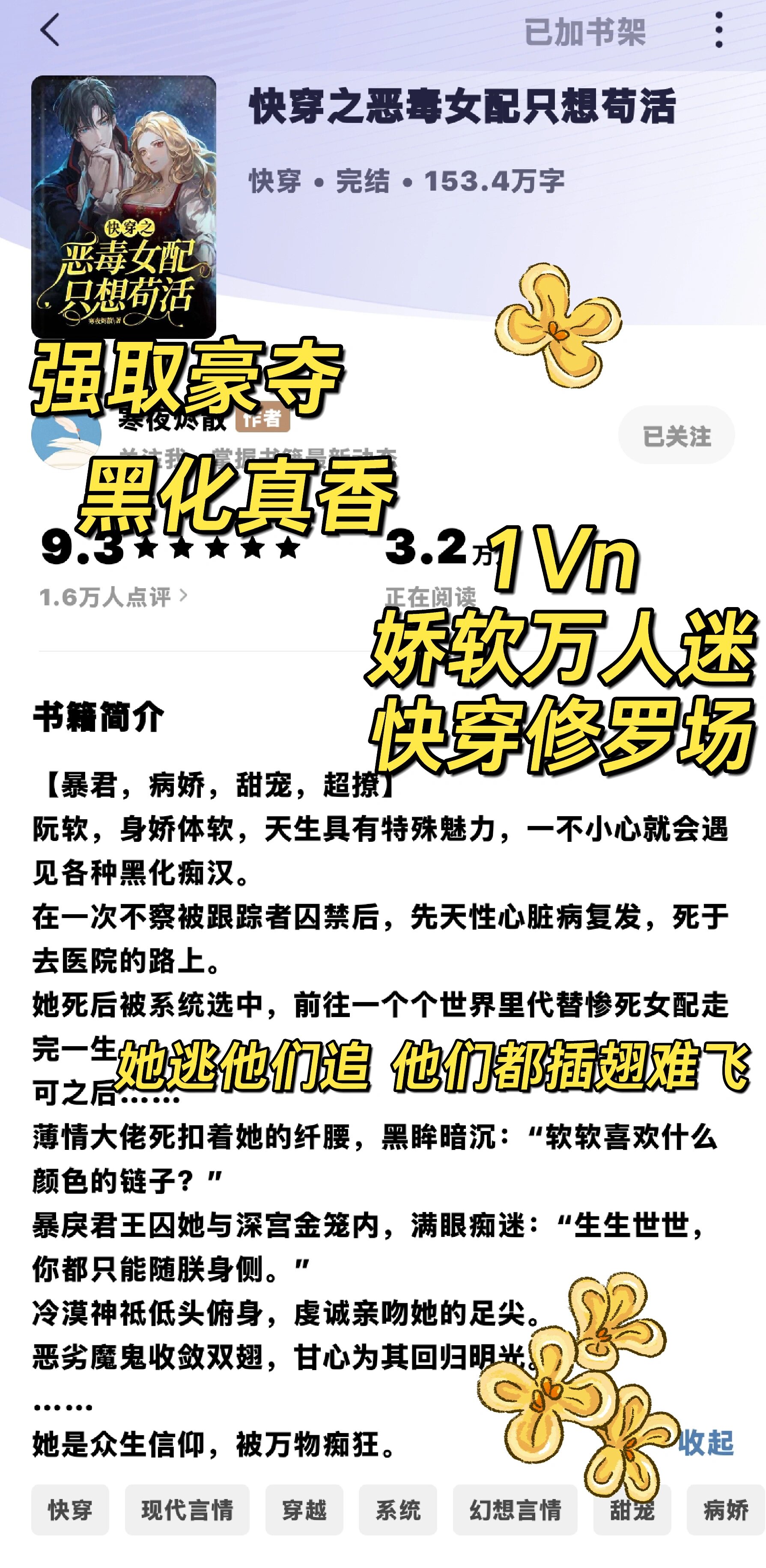 穿越时空的狂欢，快穿NP肉辣之旅-第1张图片