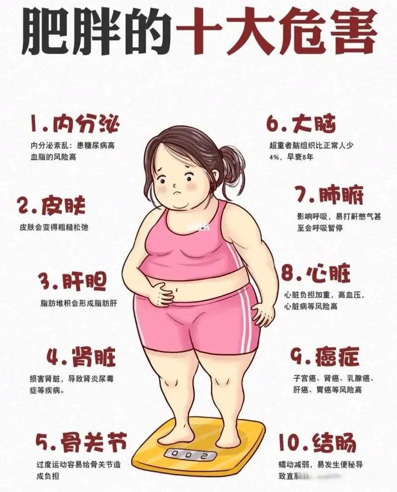 瘦身女性的魅力，为何瘦的女的具有吸引力？