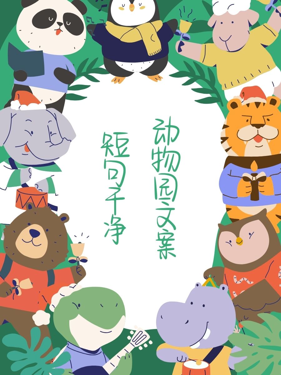 Zoom动物高清视频，探索自然世界的奇妙之旅-第2张图片