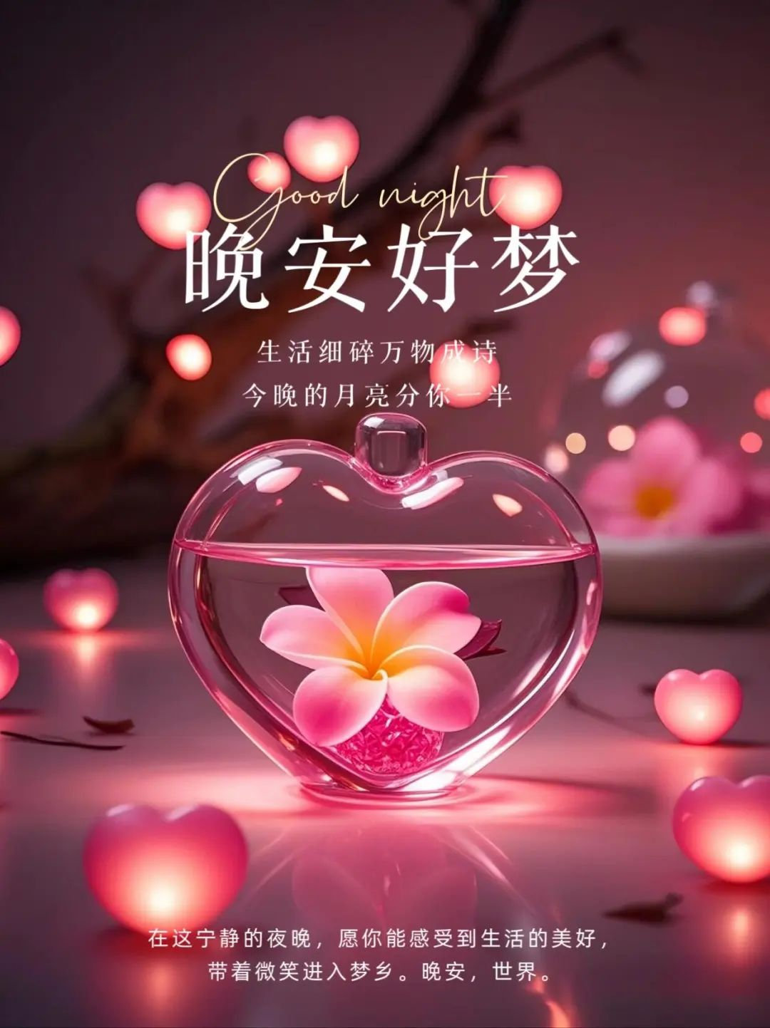成人与月夜，共度时光的智慧与美好