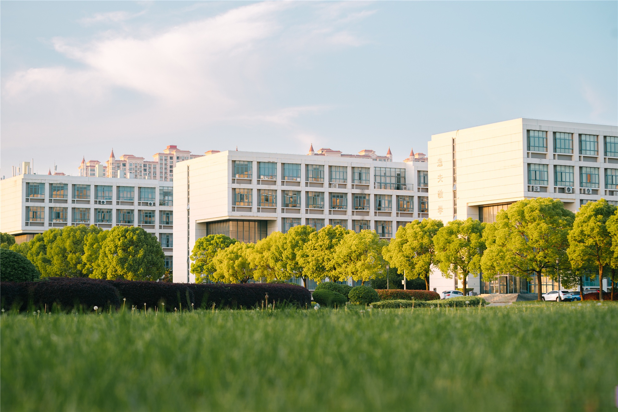 南通大学长椅子南通大学长椅，校园里的静谧角落