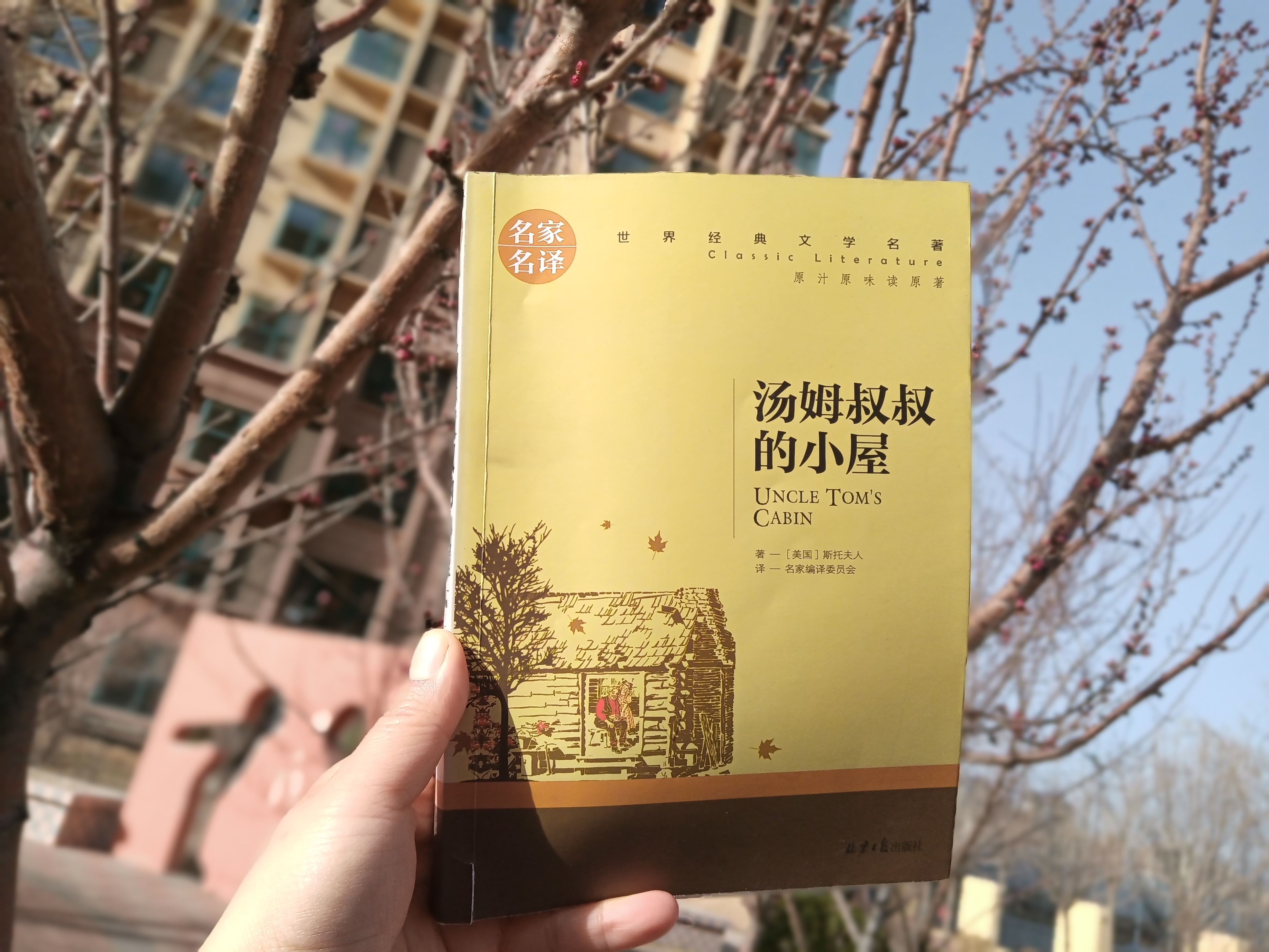 汤姆叔叔视频最新视频17汤姆叔叔视频——18岁以上人群的专属内容-第3张图片