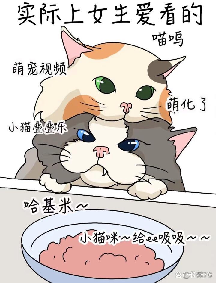 人与猪dna探索zooskoolknotty世界，人与猪的奇妙交织-第2张图片