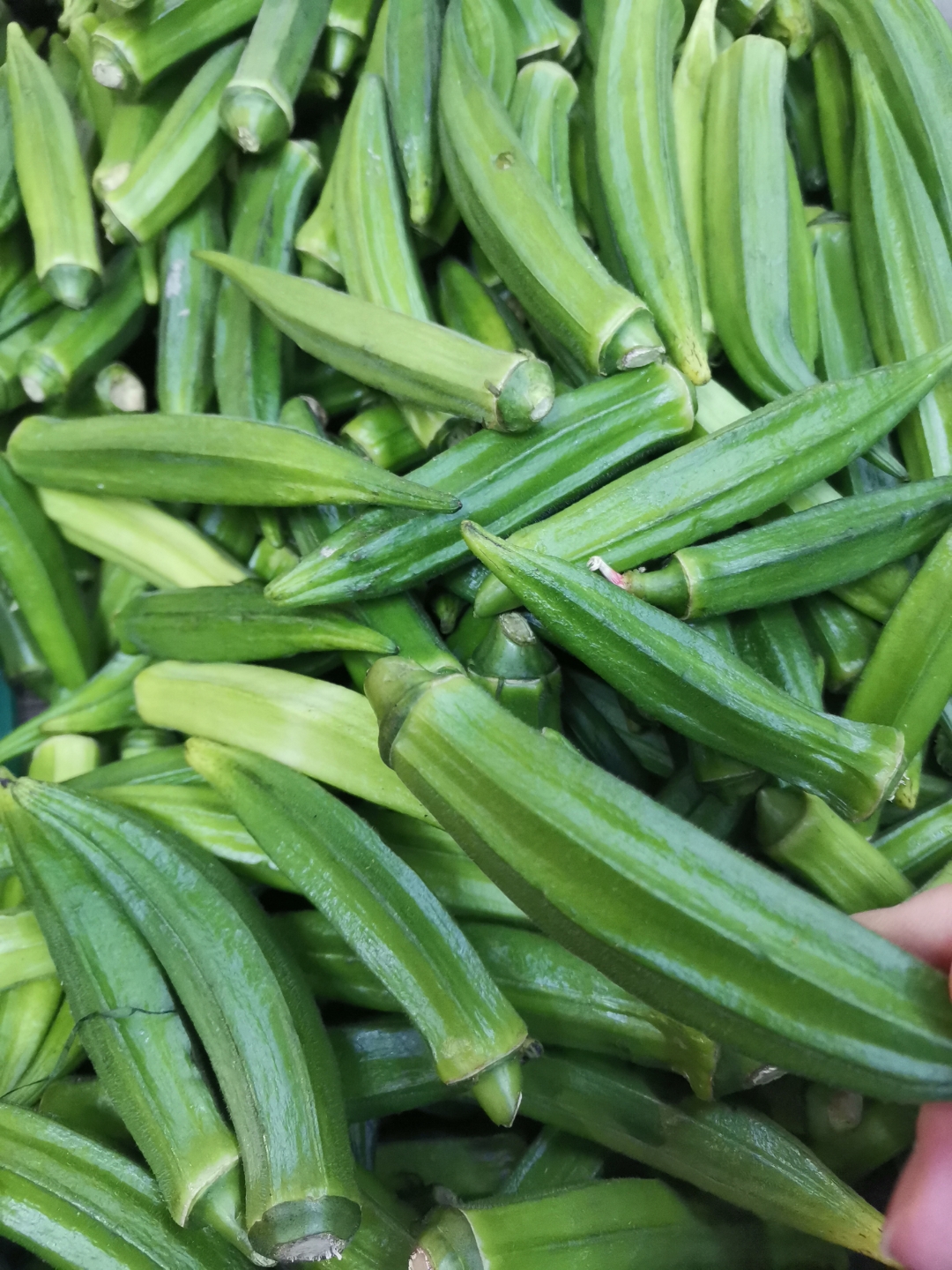 草莓丝瓜榴莲秋葵五彩缤纷的味觉盛宴——草莓、丝瓜、榴莲与秋葵的奇妙之旅-第1张图片