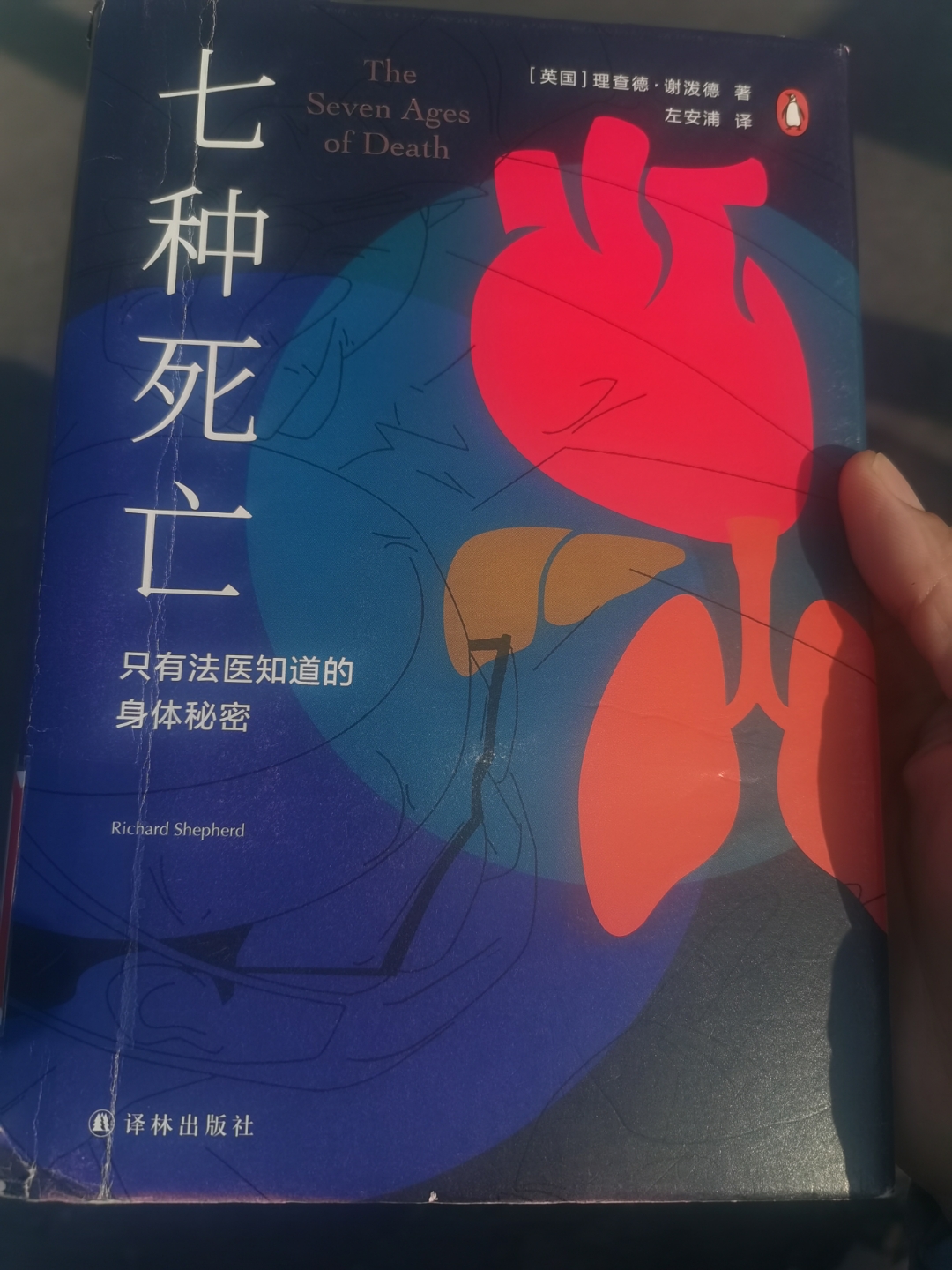痛苦村庄列瑟芬痛苦之村列瑟芬的悲歌与希望
