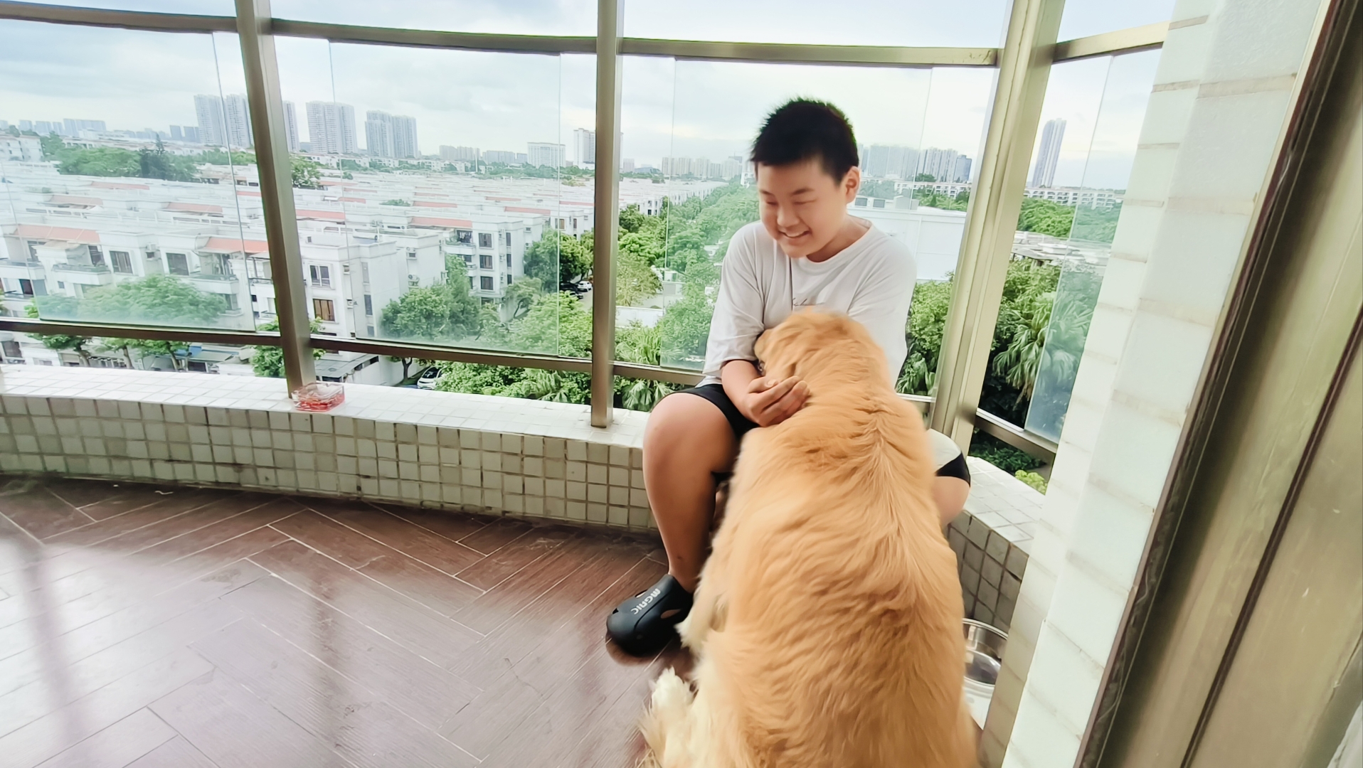 与自己养的金毛做了与自己养的金毛的亲密时光-第2张图片