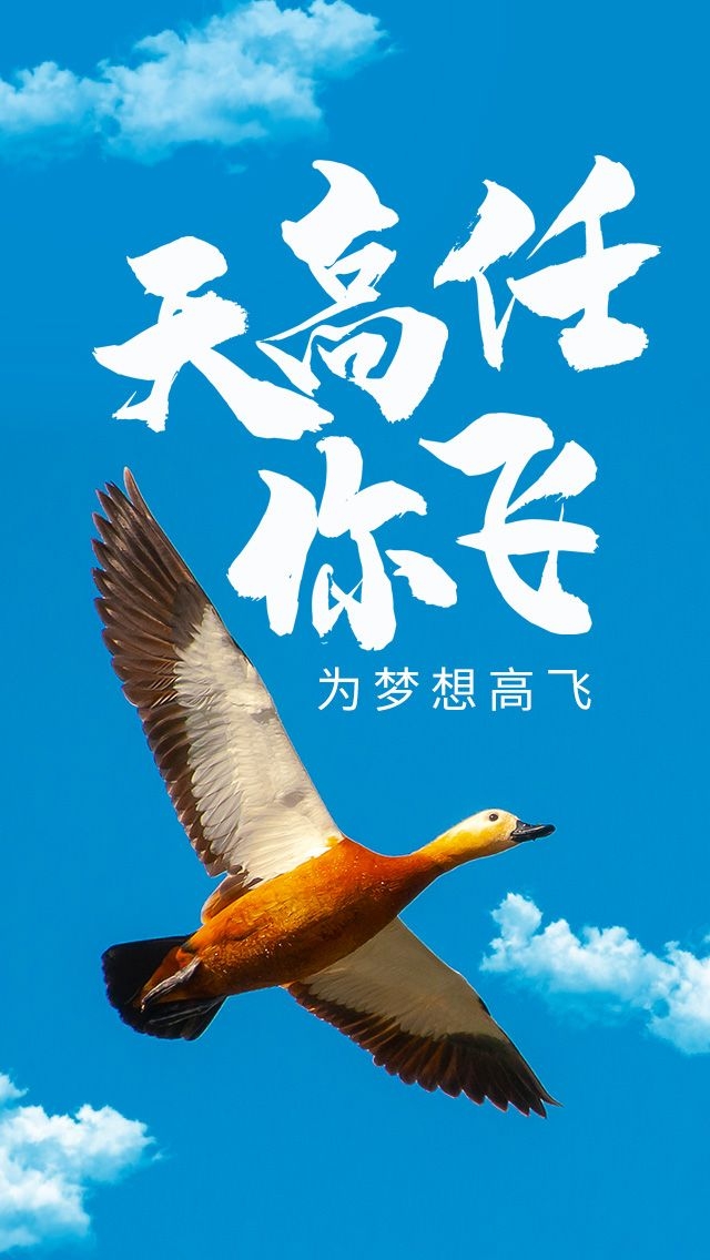 苍穹之翼，飞翔的梦想与无尽的追求