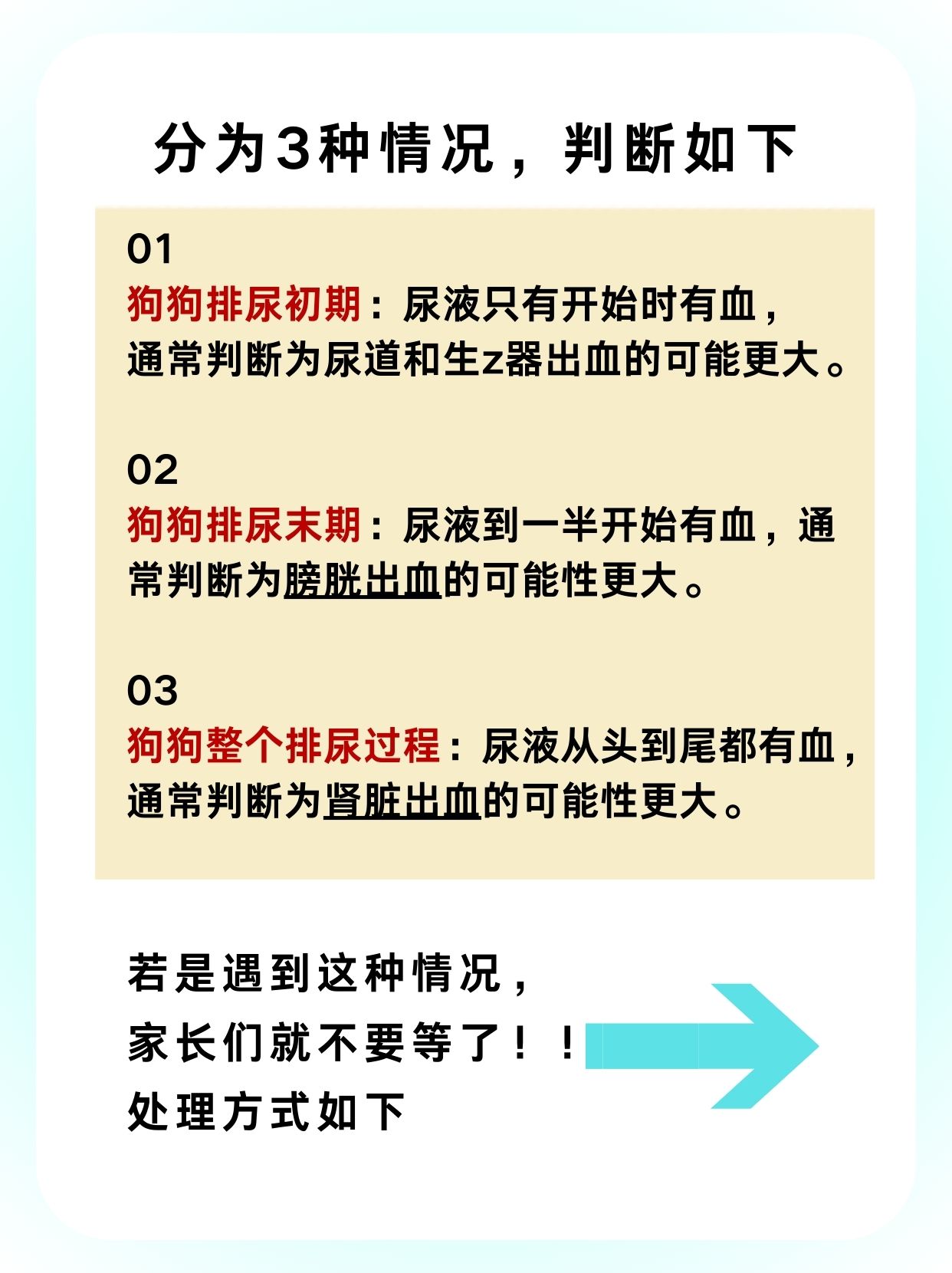 主人尿在肚子里不能流出来主人尿在肚子里，无法排出的困境-第2张图片