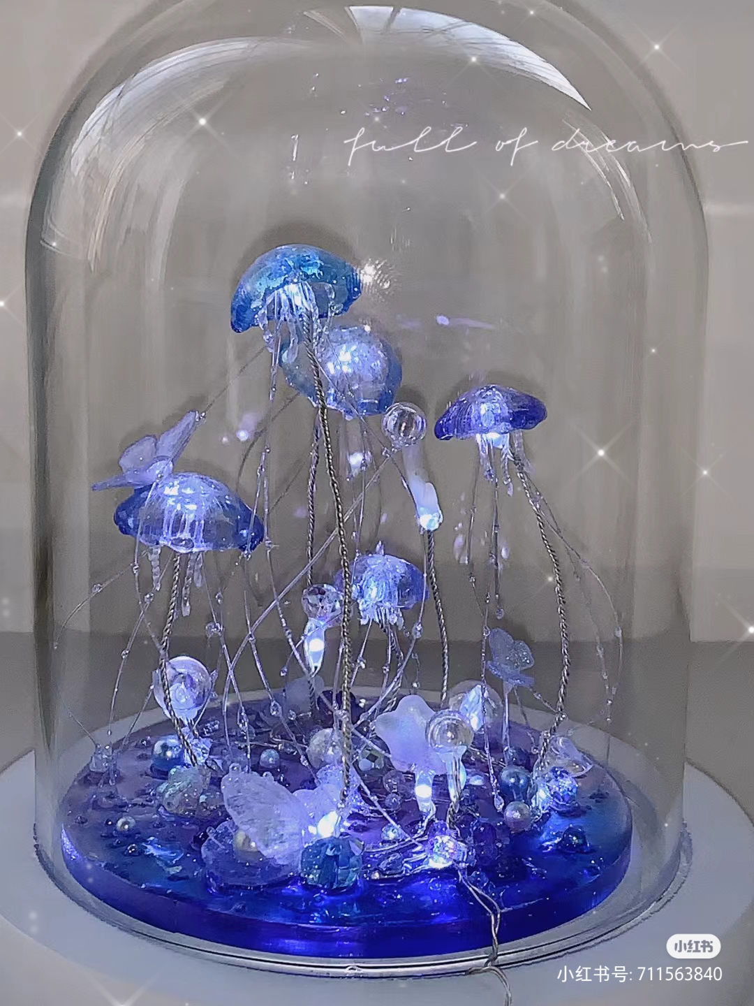 水母坐骑，海洋的神秘使者-第2张图片
