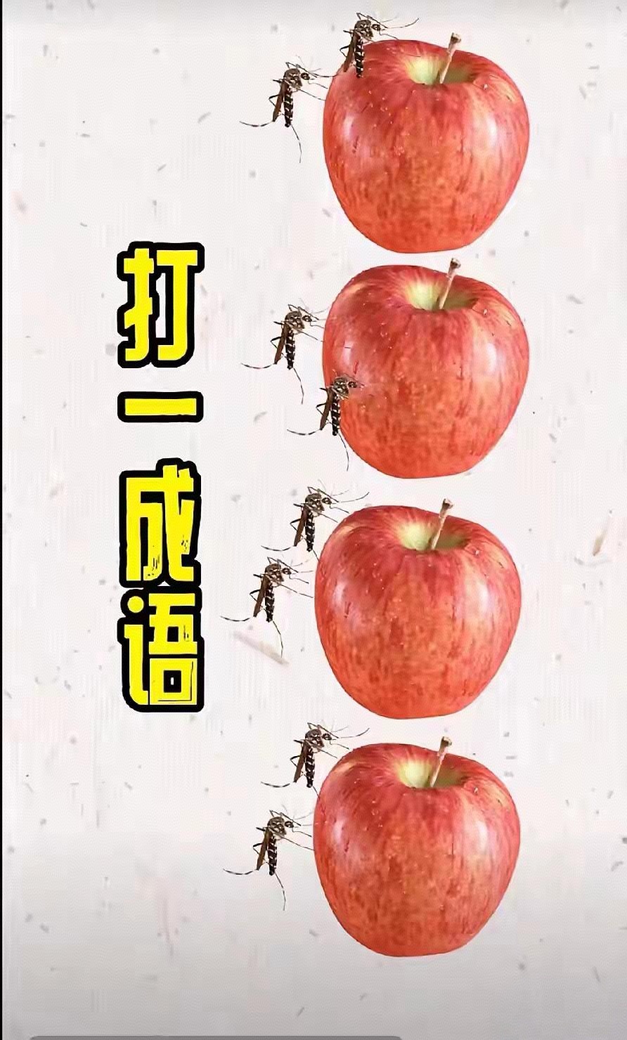 疯狂猜图下载，一款益智类游戏的下载体验与乐趣-第3张图片