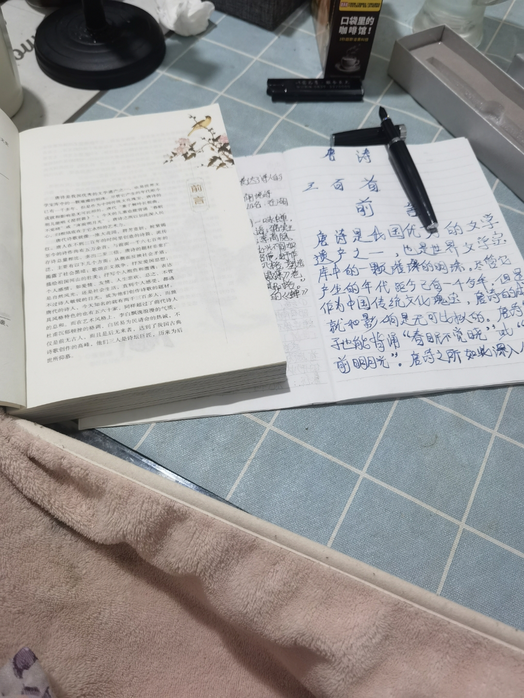 小诗的日记，一段JIANYING的青春小说