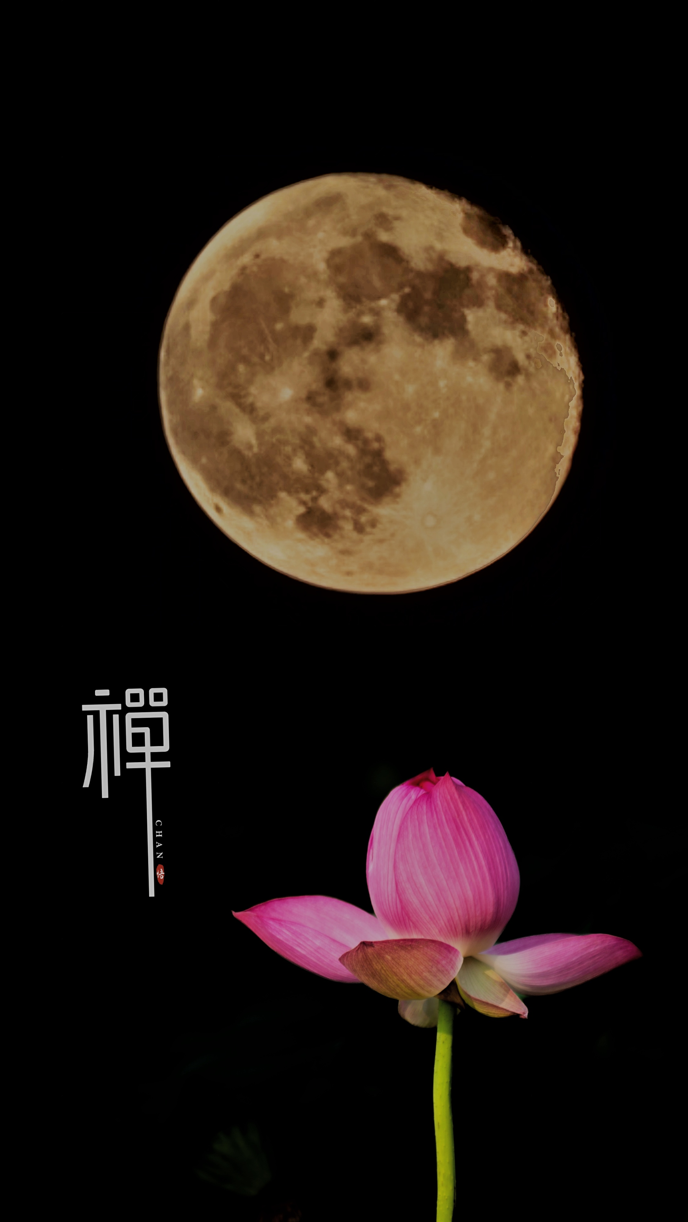 十五的月亮十六圆十五的月亮十六圆，月夜之美的独特诠释-第1张图片