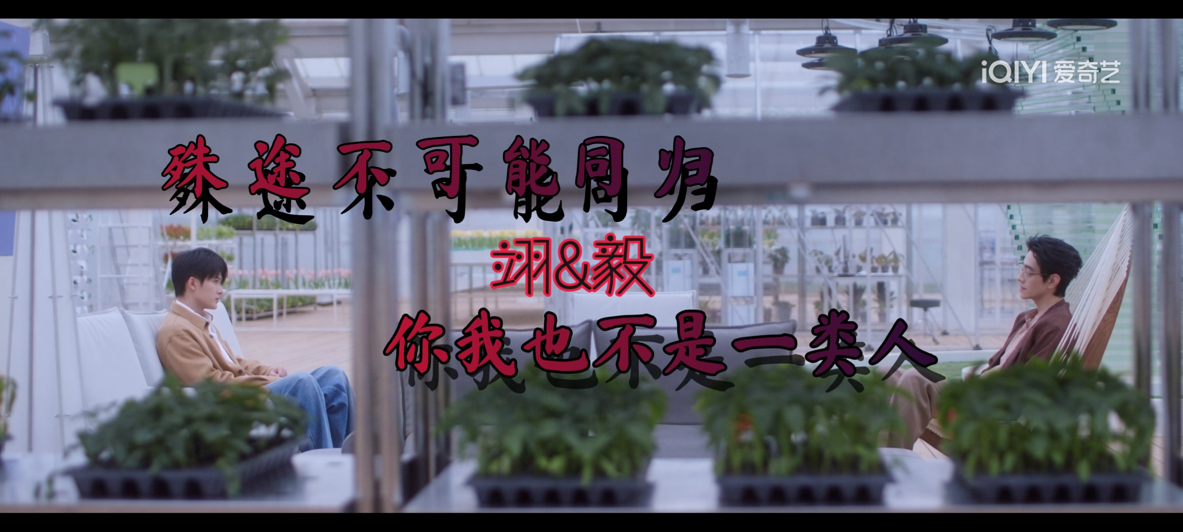 爱情有点难蓝电视剧简介爱情有点难，探索情感之路的曲折与挑战