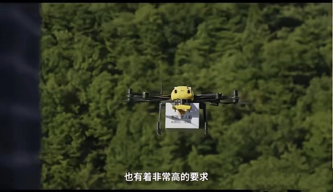 无限观看视频完整版免费下载，探索网络资源的无限可能