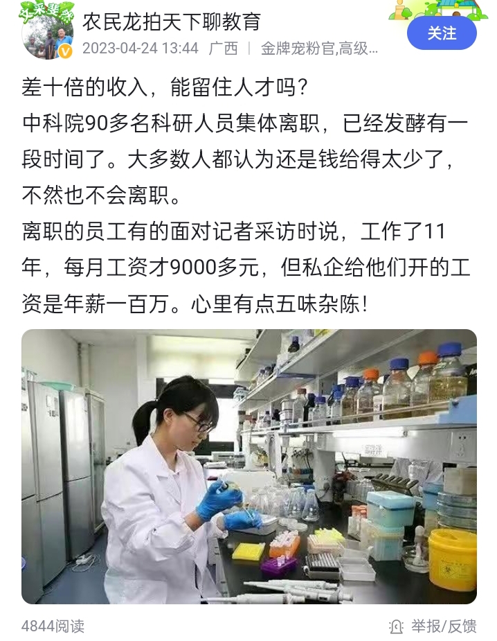 毛网毛网，从网络现象到社会现象的深度解析-第2张图片