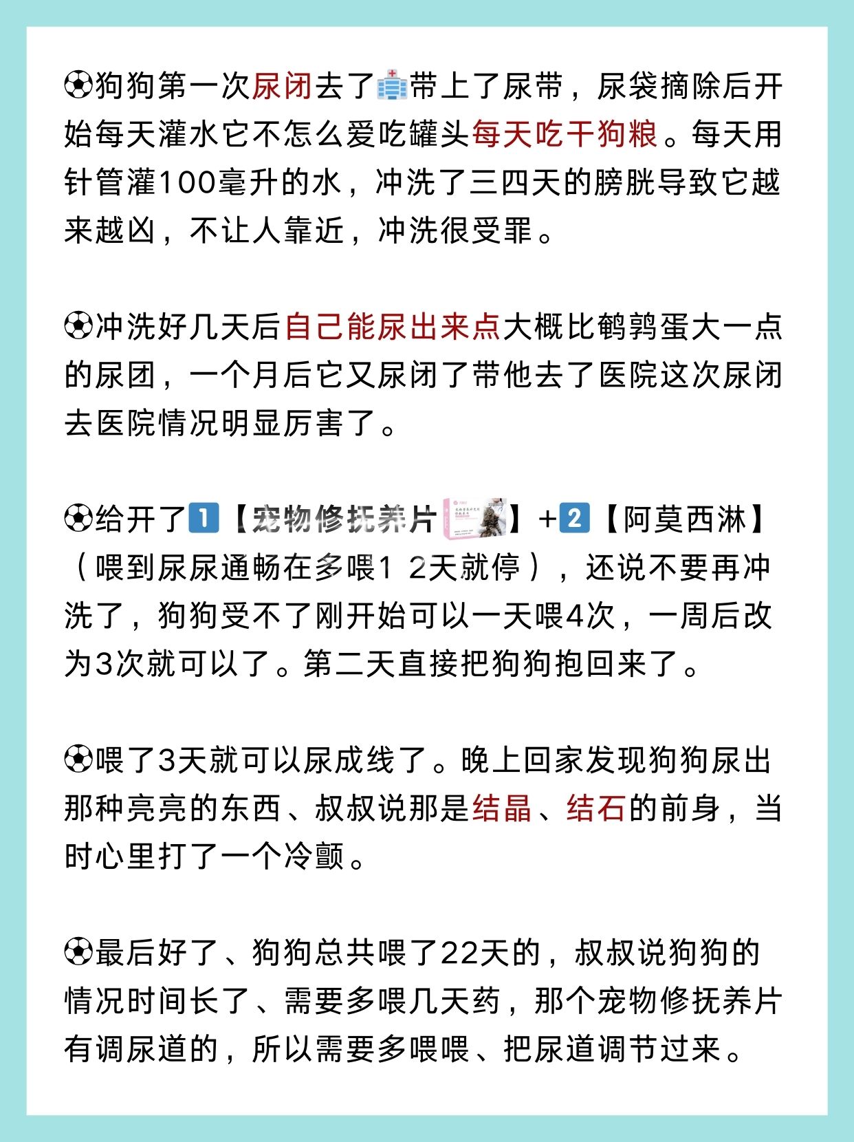 主人尿在肚子里不能流出来主人，肚子里的秘密——无法流出的尿液-第1张图片